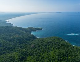 Foto 7 de Venta de Lote Exclusivo con Vista a la Bahía de Zihuatanejo y Playa Larga
