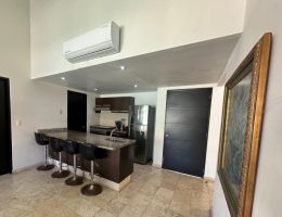 Foto 4 de Portovento Ixtapa | PH en Venta con Jacuzzi y Roof Garden