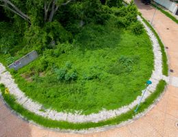 Foto 7 de Ixtapa | Terreno en Venta en Zona Residencial