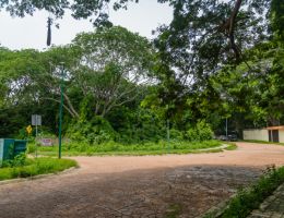 Foto 14 de Ixtapa | Terreno en Venta en Zona Residencial