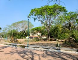 Foto 15 de Ixtapa | Terreno en Venta en Zona Residencial